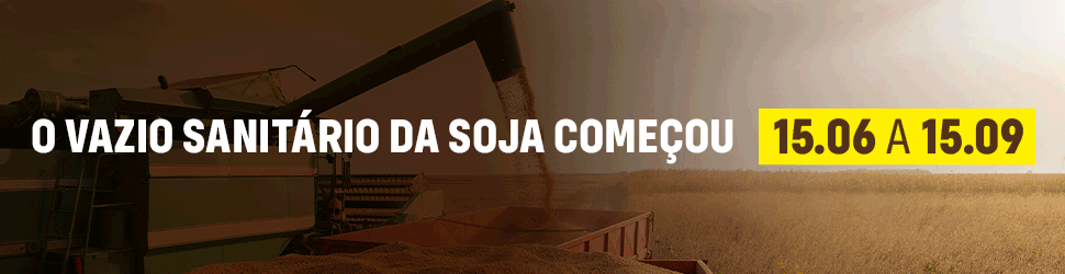 Governo Vazio