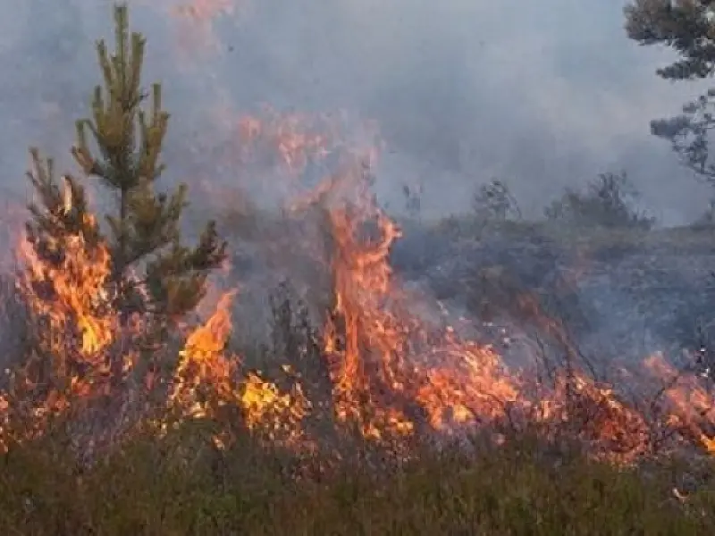 Para evitar sobrecarga, Bombeiros pedem que população não limpe terrenos com fogo
