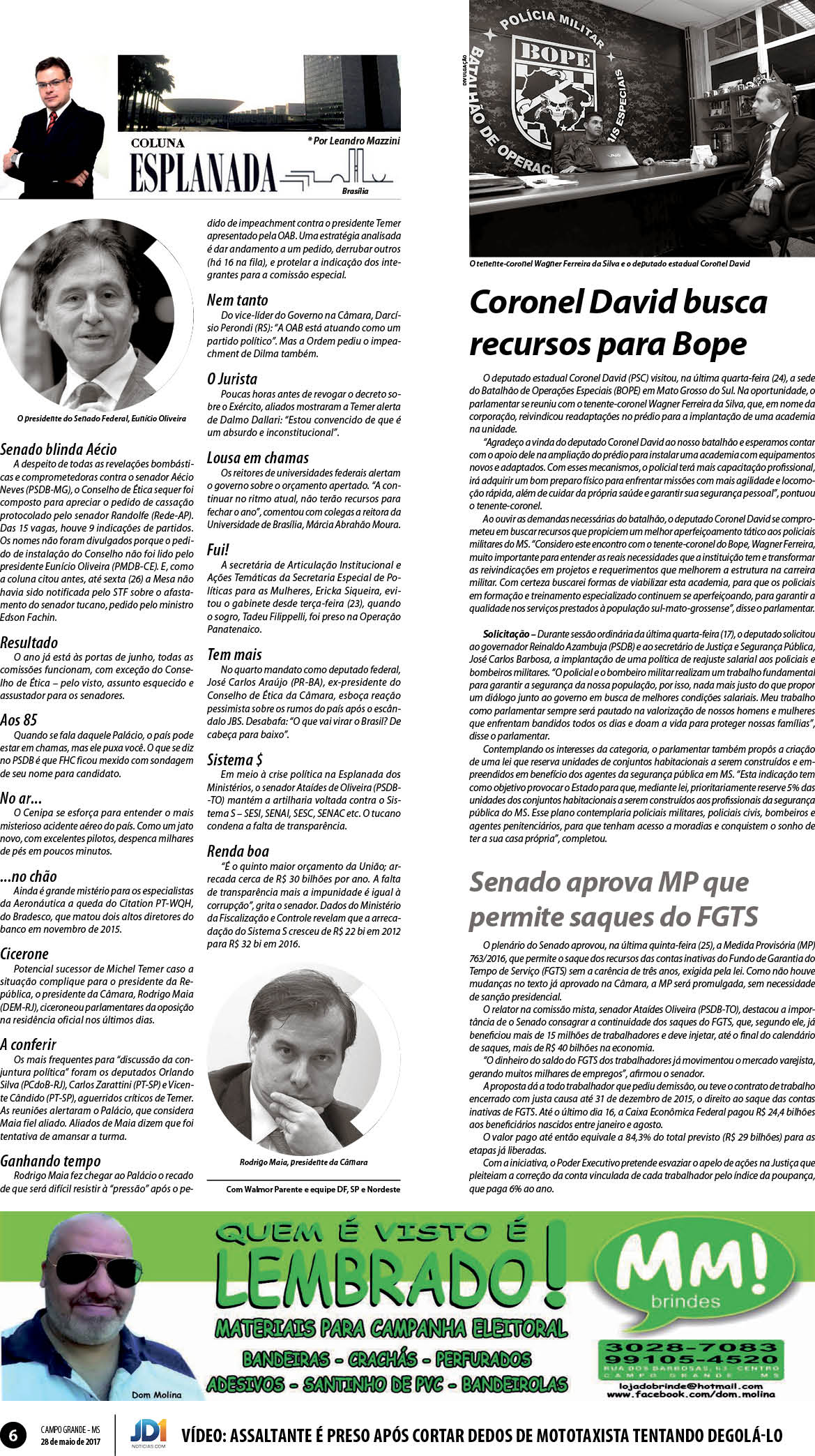 Página 6