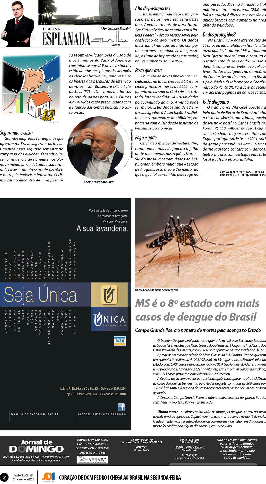 Página 2