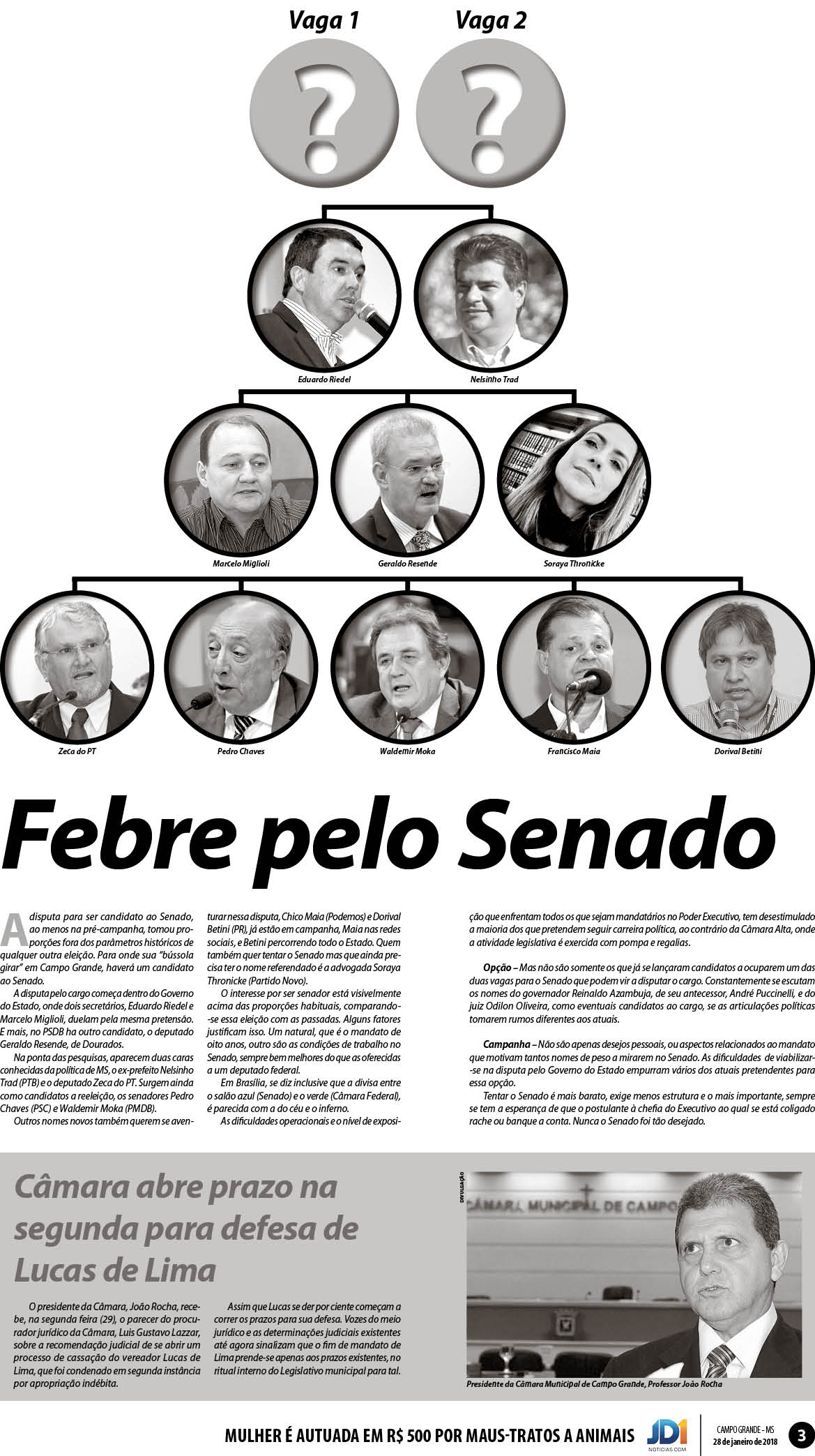 Página 3