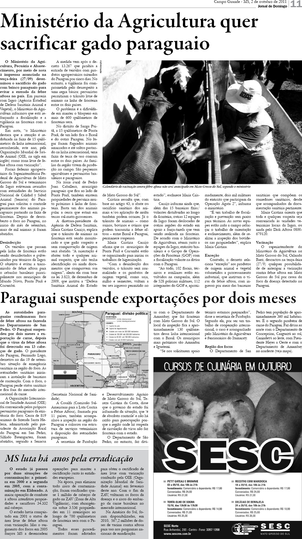 Página 11