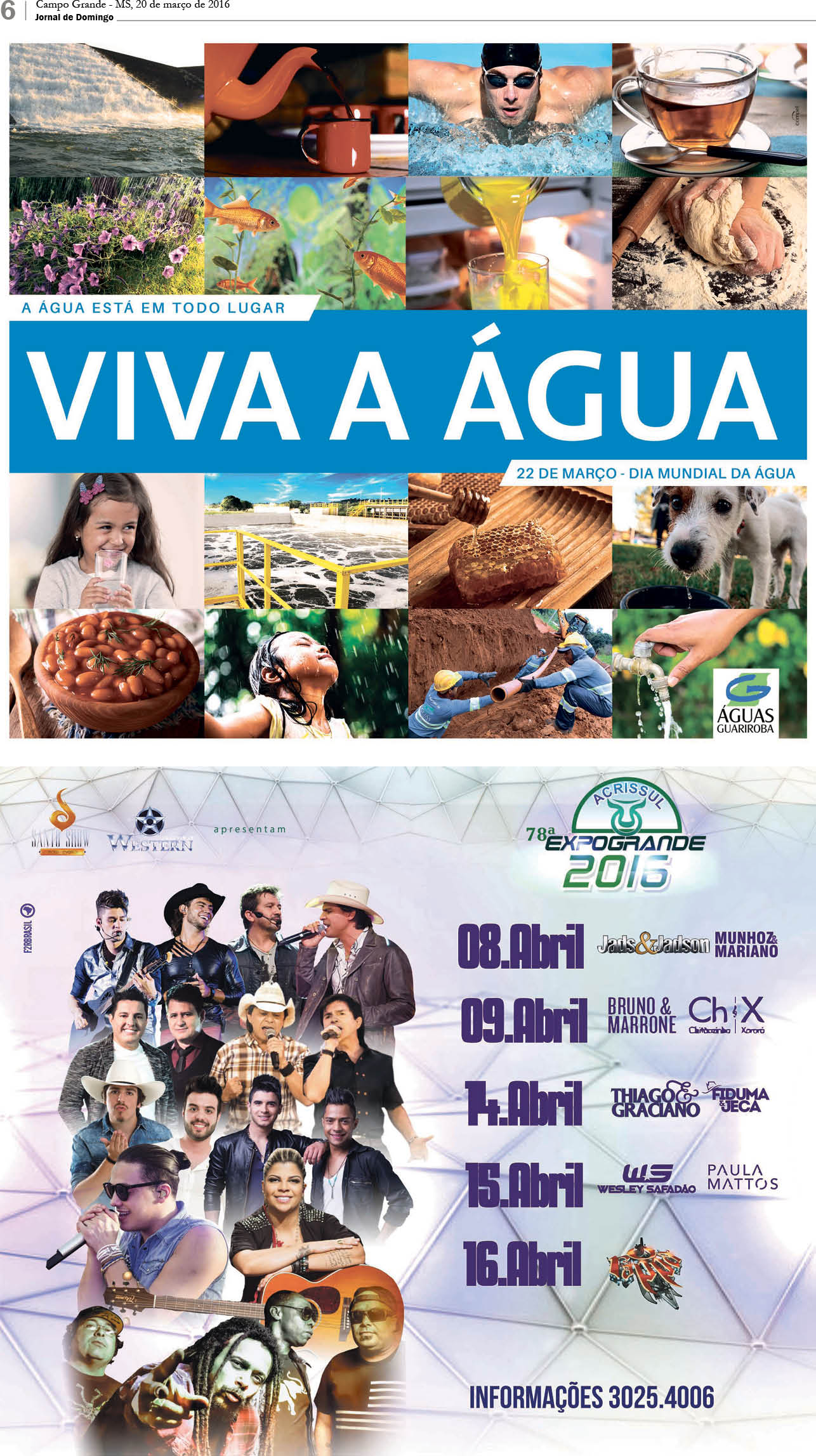 Página 6