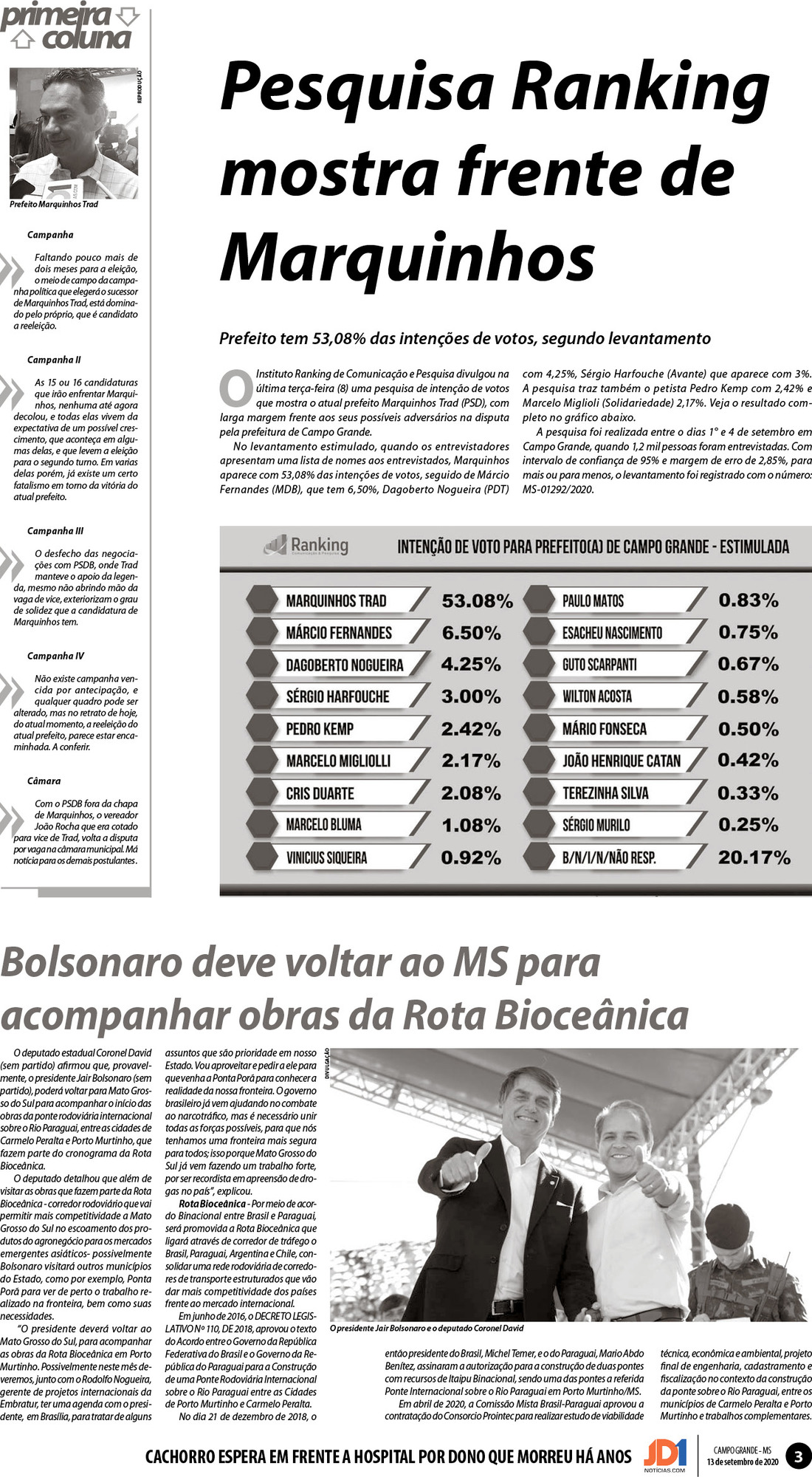 Página 3