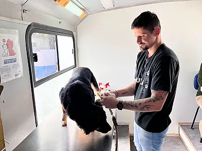 Atendimento veterinário gratuito chega ao Maria Aparecida Pedrossian nesta semana