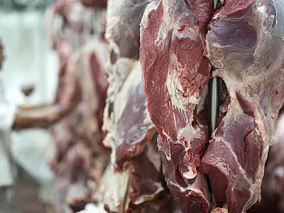 União Europeia suspende entrada de carnes e outros produtos do Brasil; entenda o impacto