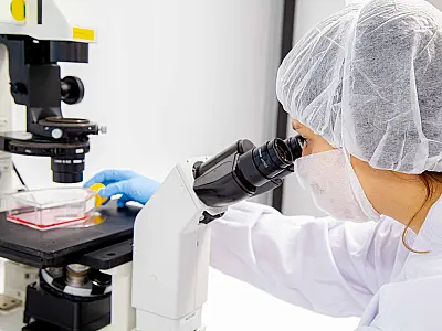 Com pele artificial, pesquisa simula efeitos da menopausa e envelhecimento