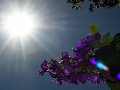 Mês de agosto se despede com sol forte e previsão de chuva em MS