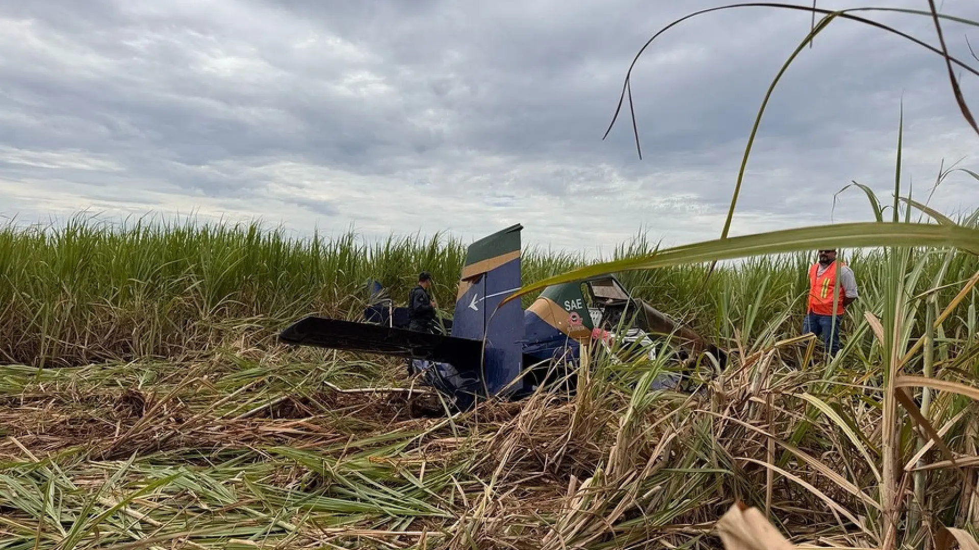 Piloto morre após avião agrícola cair em fazenda de MS | JD1 Notícias