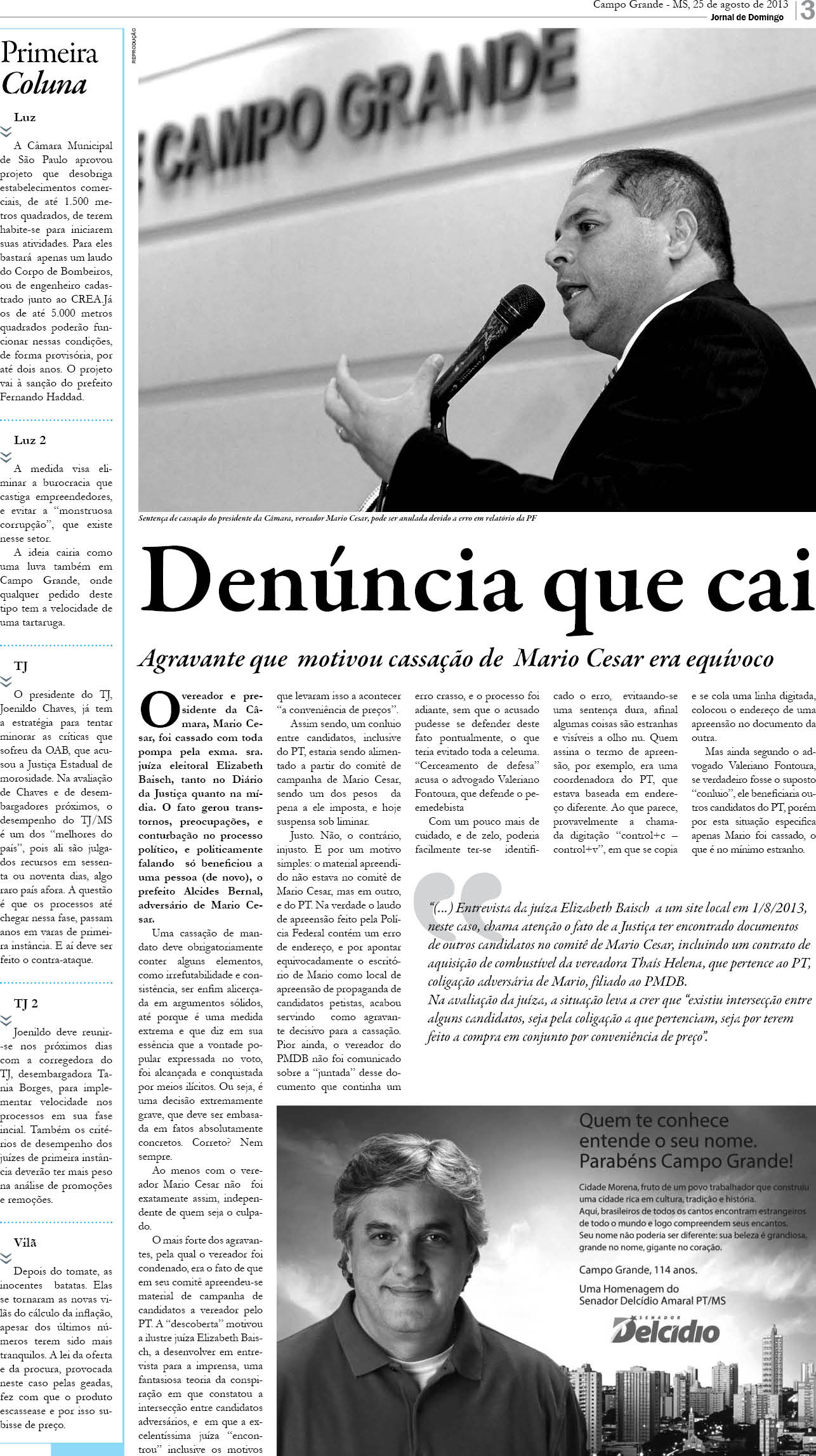 Página 3