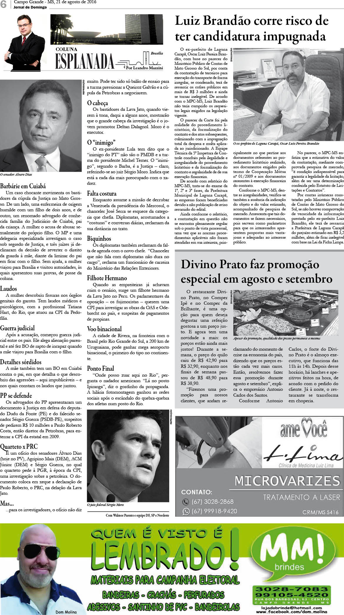 Página 6