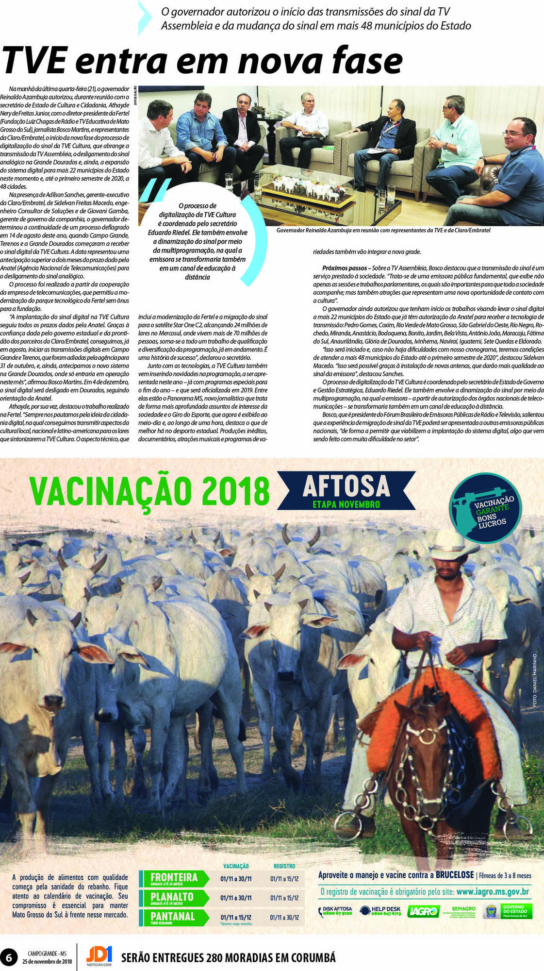 Página 6