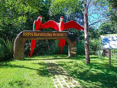 No ritmo das trilhas, rios e contemplação de aves, o turismo de MS é guiado pela natureza