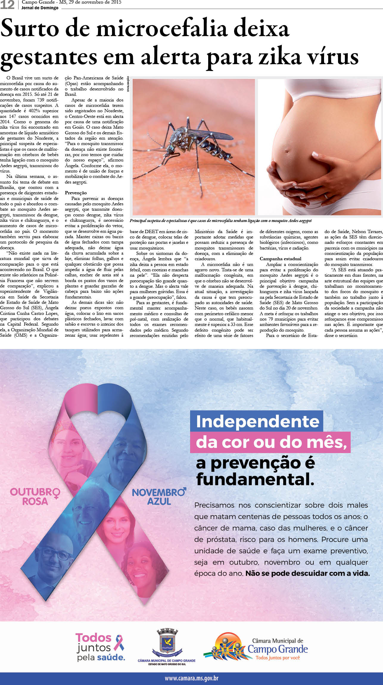 Página 12