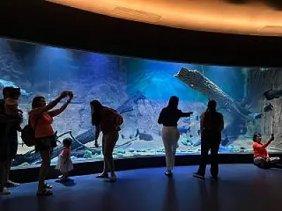 Bioparque abre em horário especial no aniversário de Campo Grande