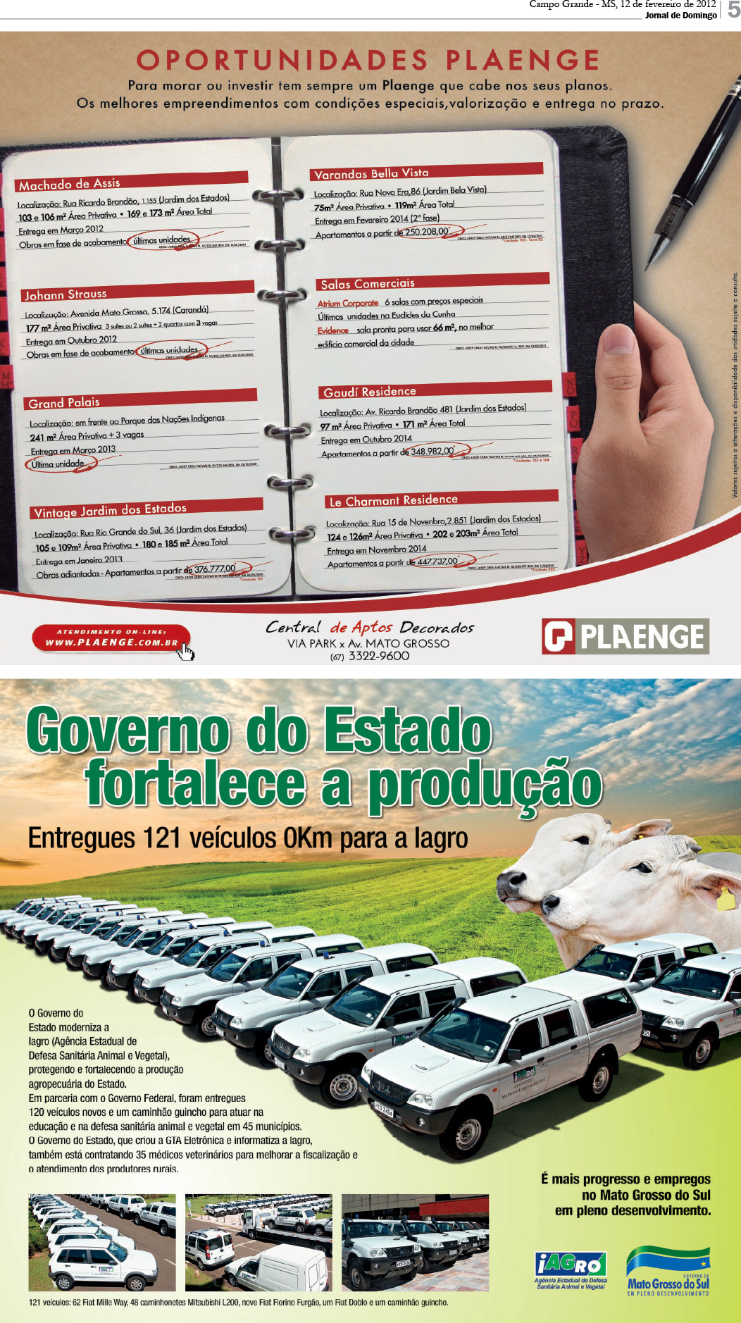 Página 5