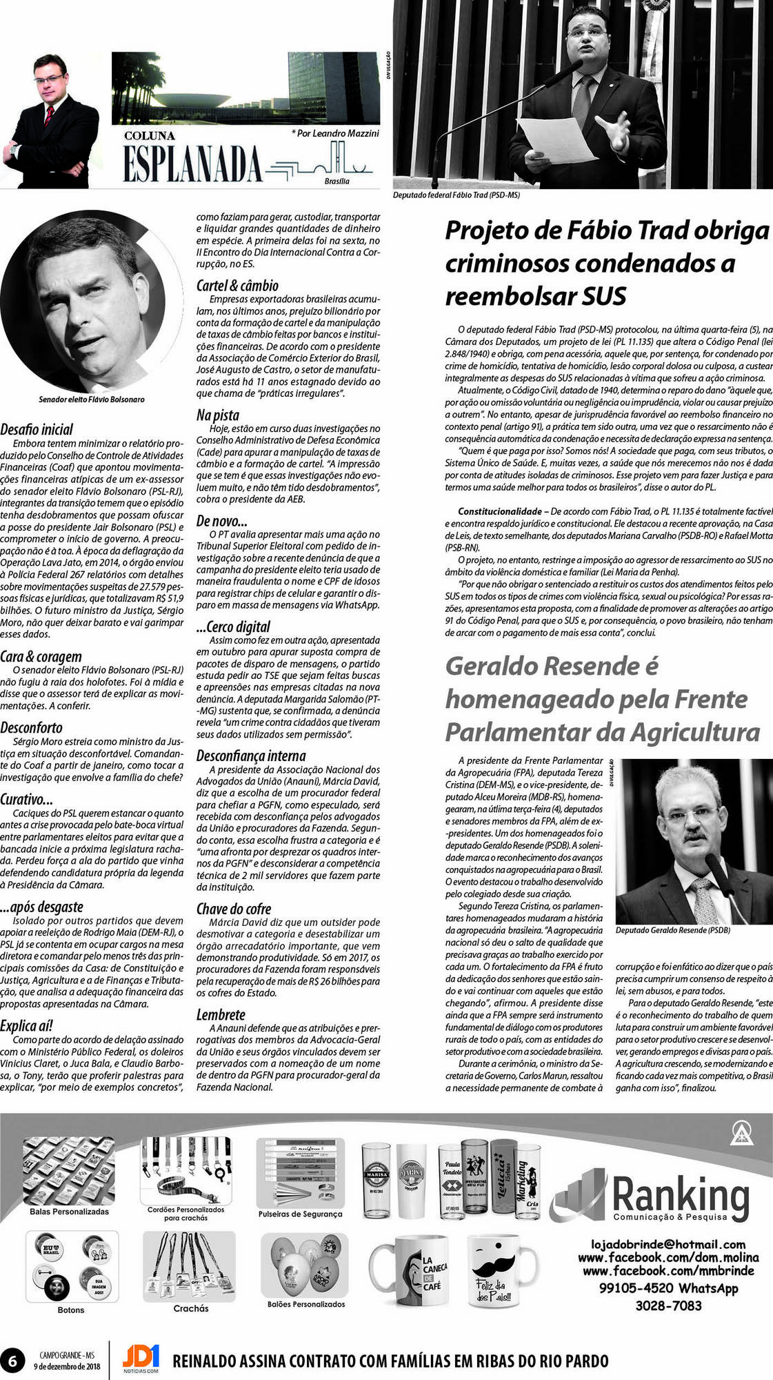 Página 6