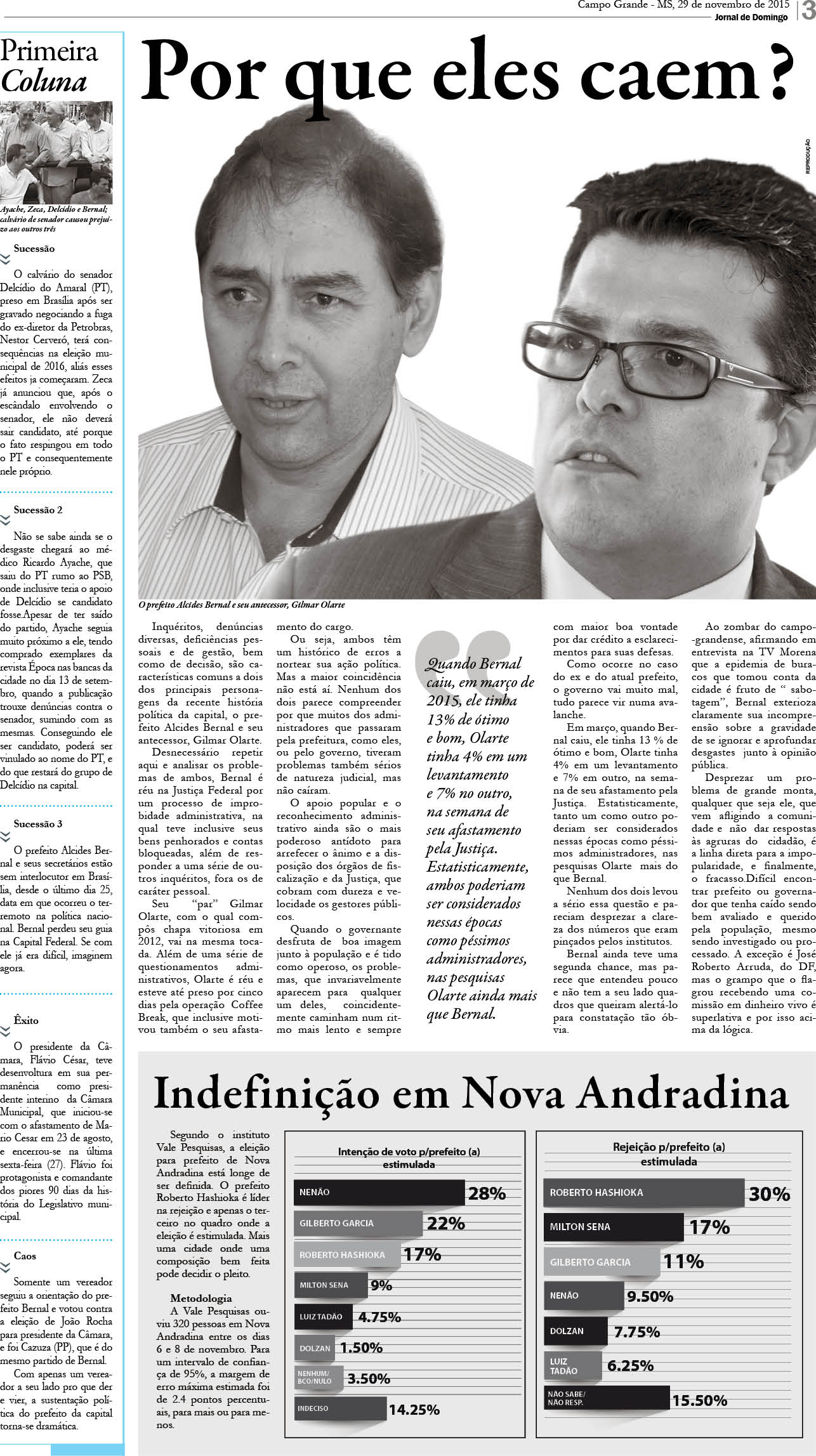 Página 3