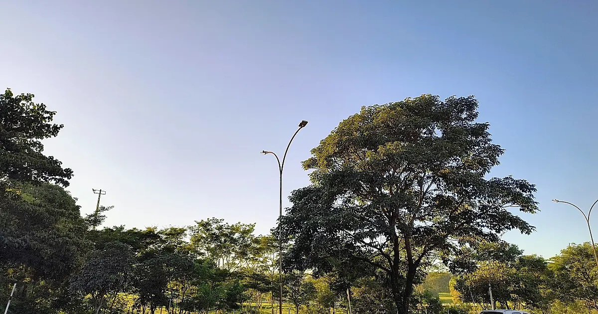Clima seco e alta amplitude térmica marcam o início da semana em MS