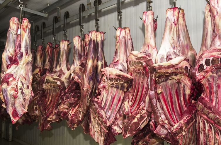 Restrições à carne brasileira entram na pauta de reunião sobre acordo entre Mercosul e União Europeia