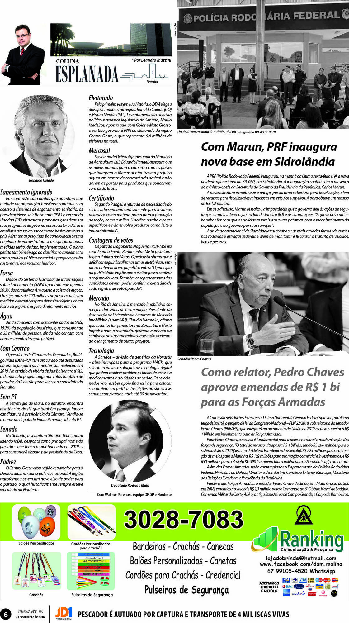 Página 6