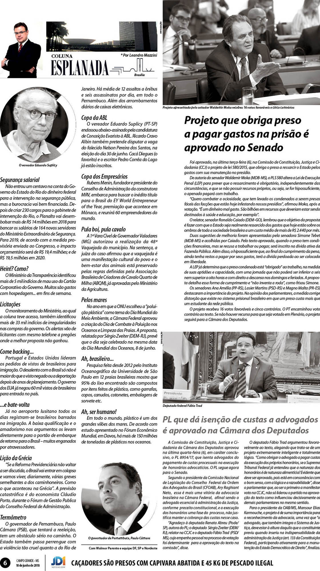Página 6