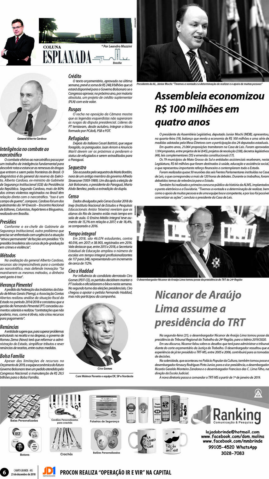 Página 6