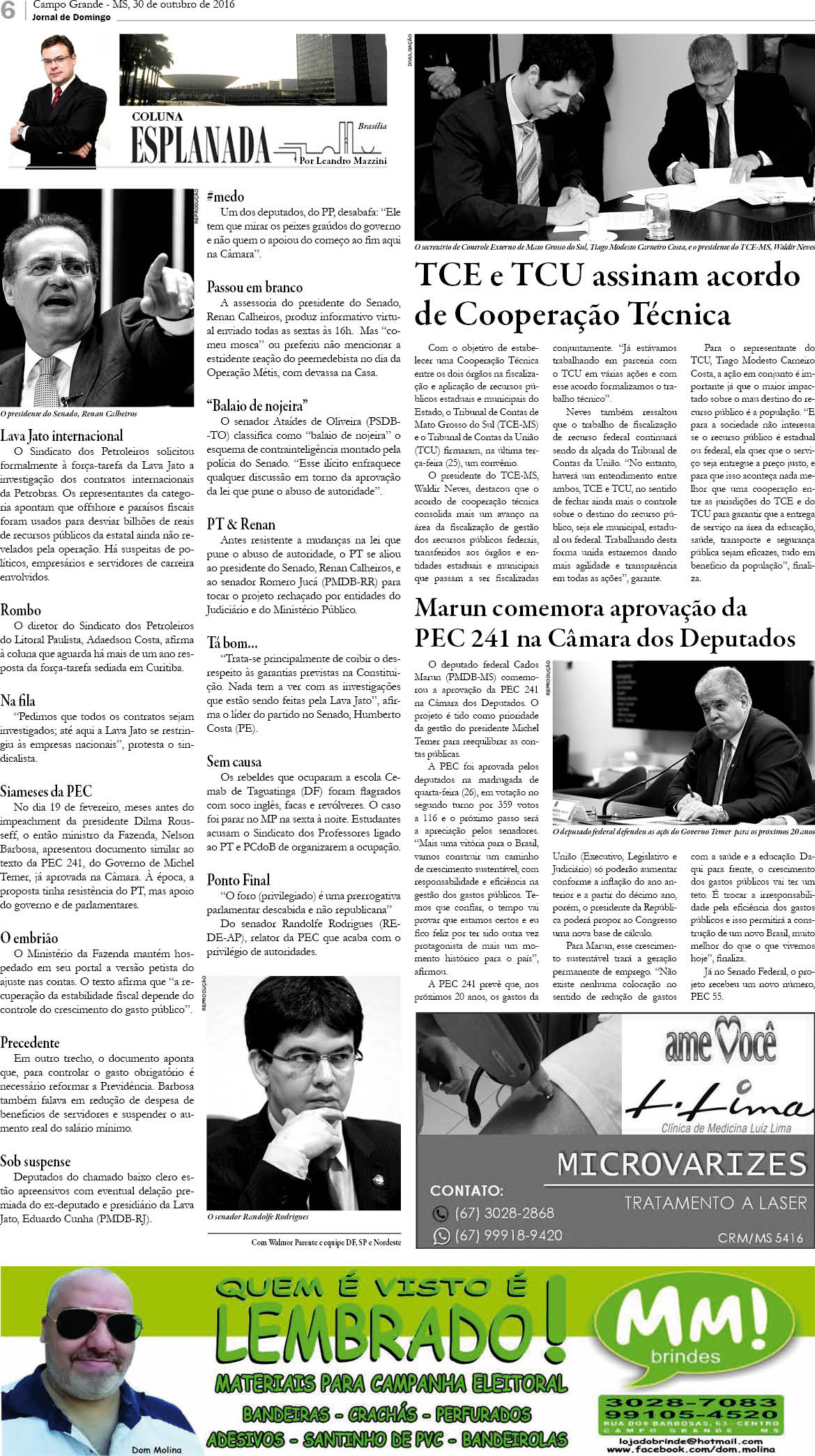 Página 6