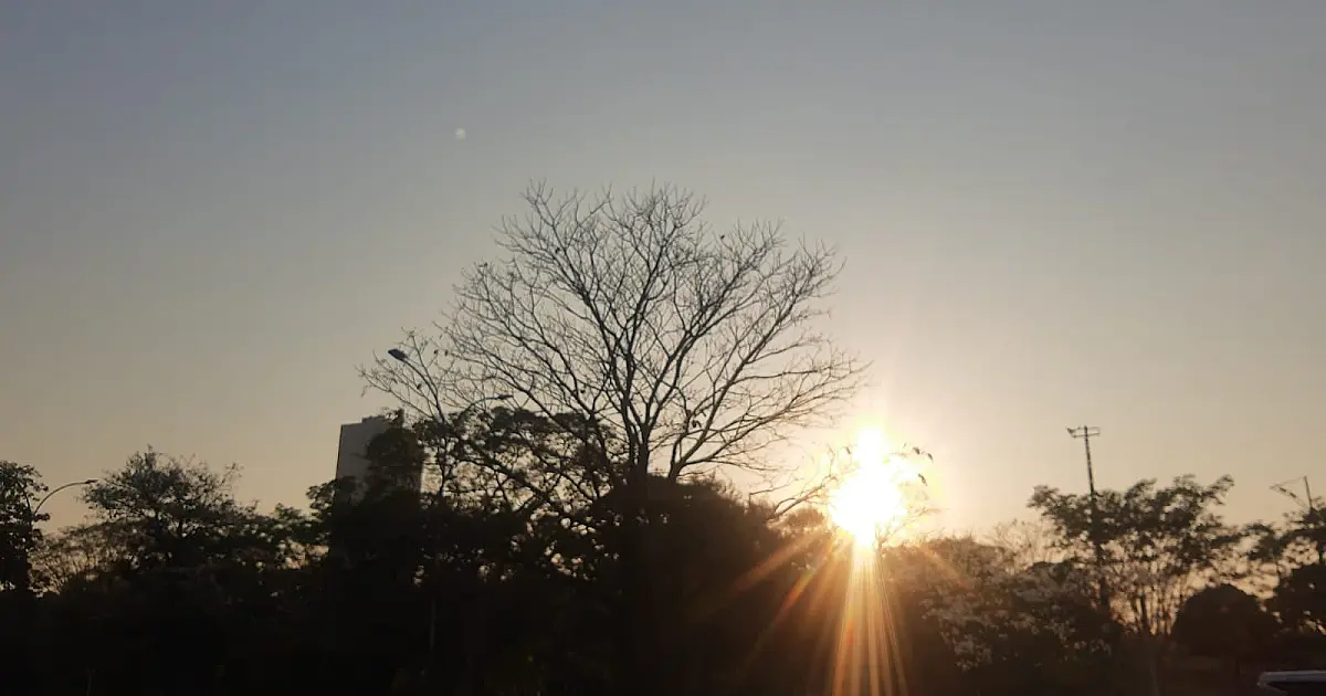Agosto começa com calor de até 39°C e tempo seco em MS