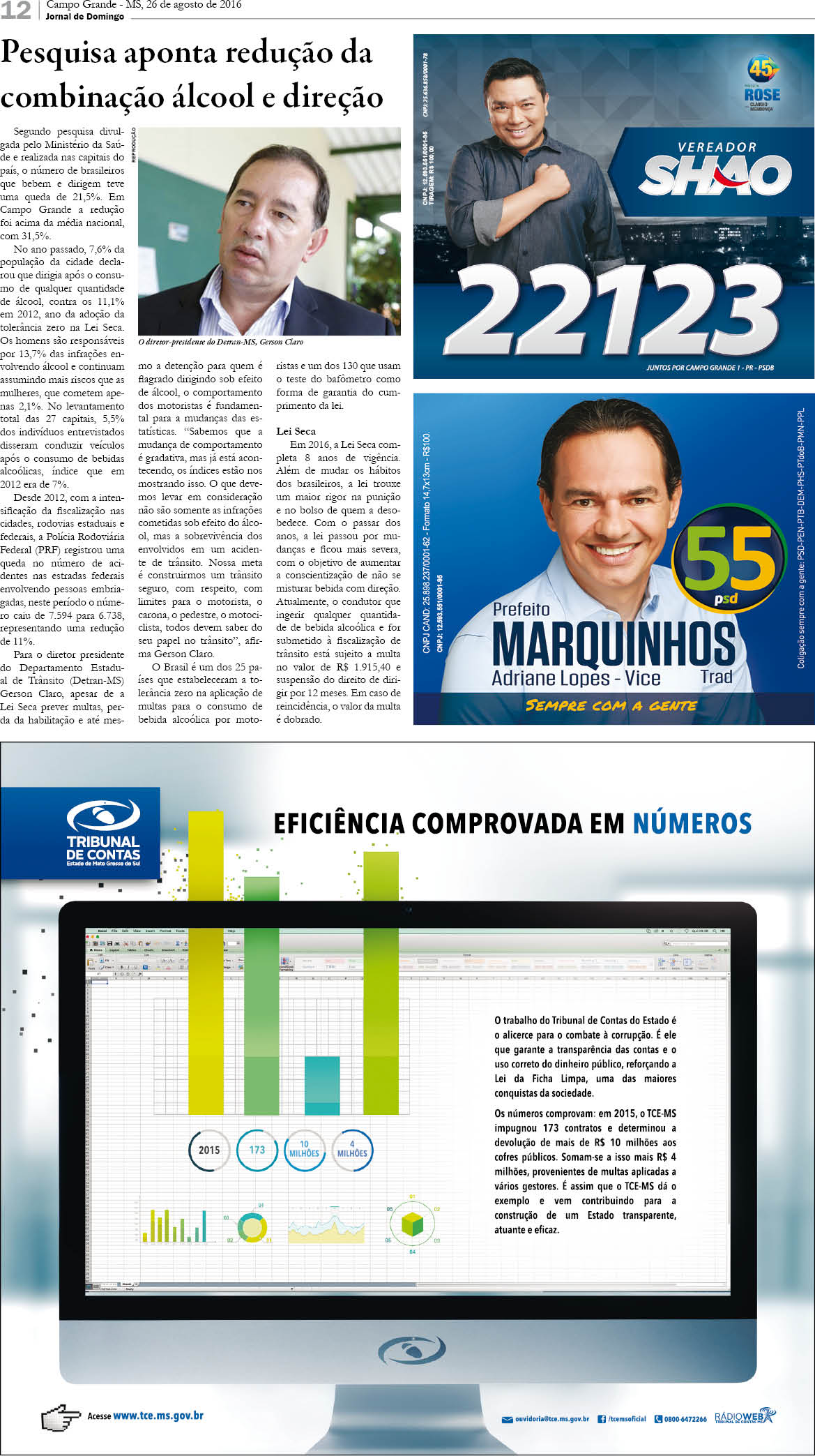 Página 12