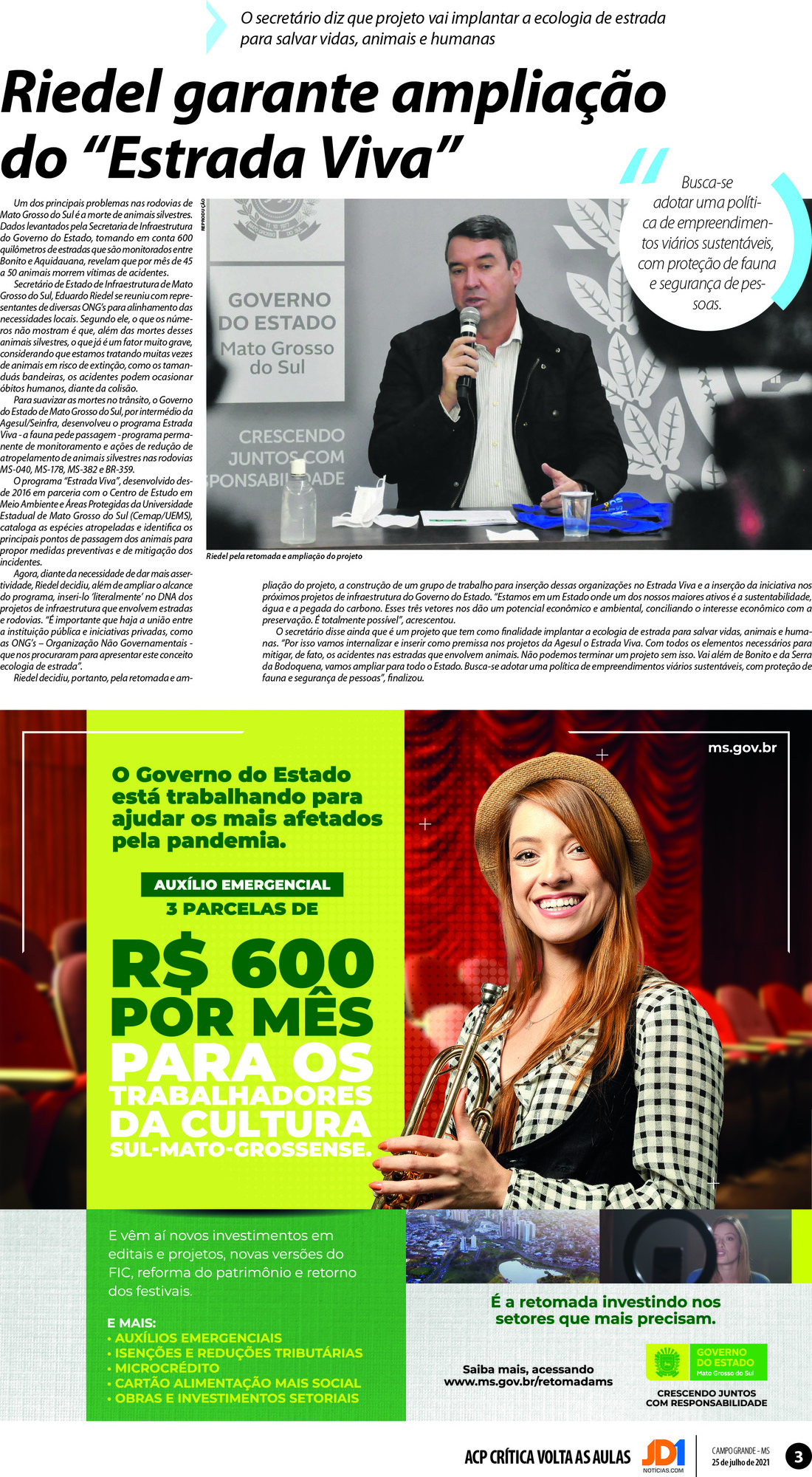 Página 3