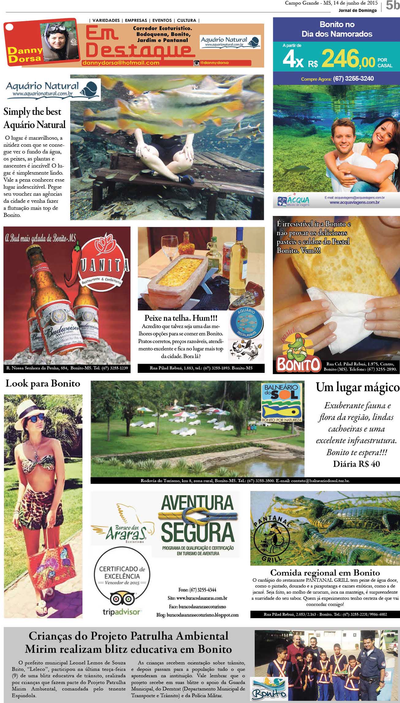 Página 17