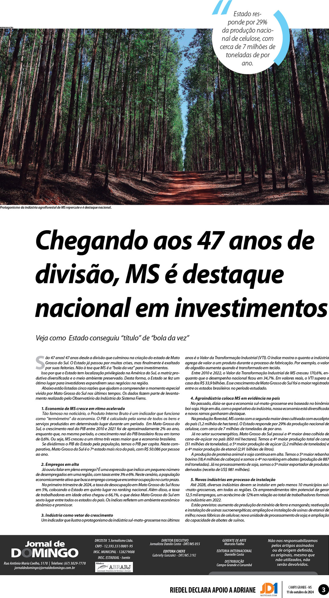Página 3