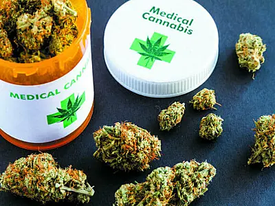 Autorizações para importação de cannabis aumentam 29% em 2026