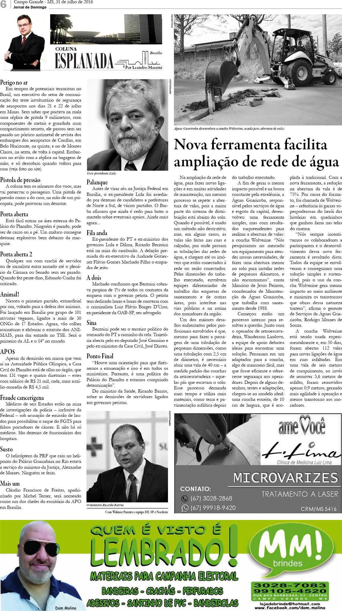 Página 6