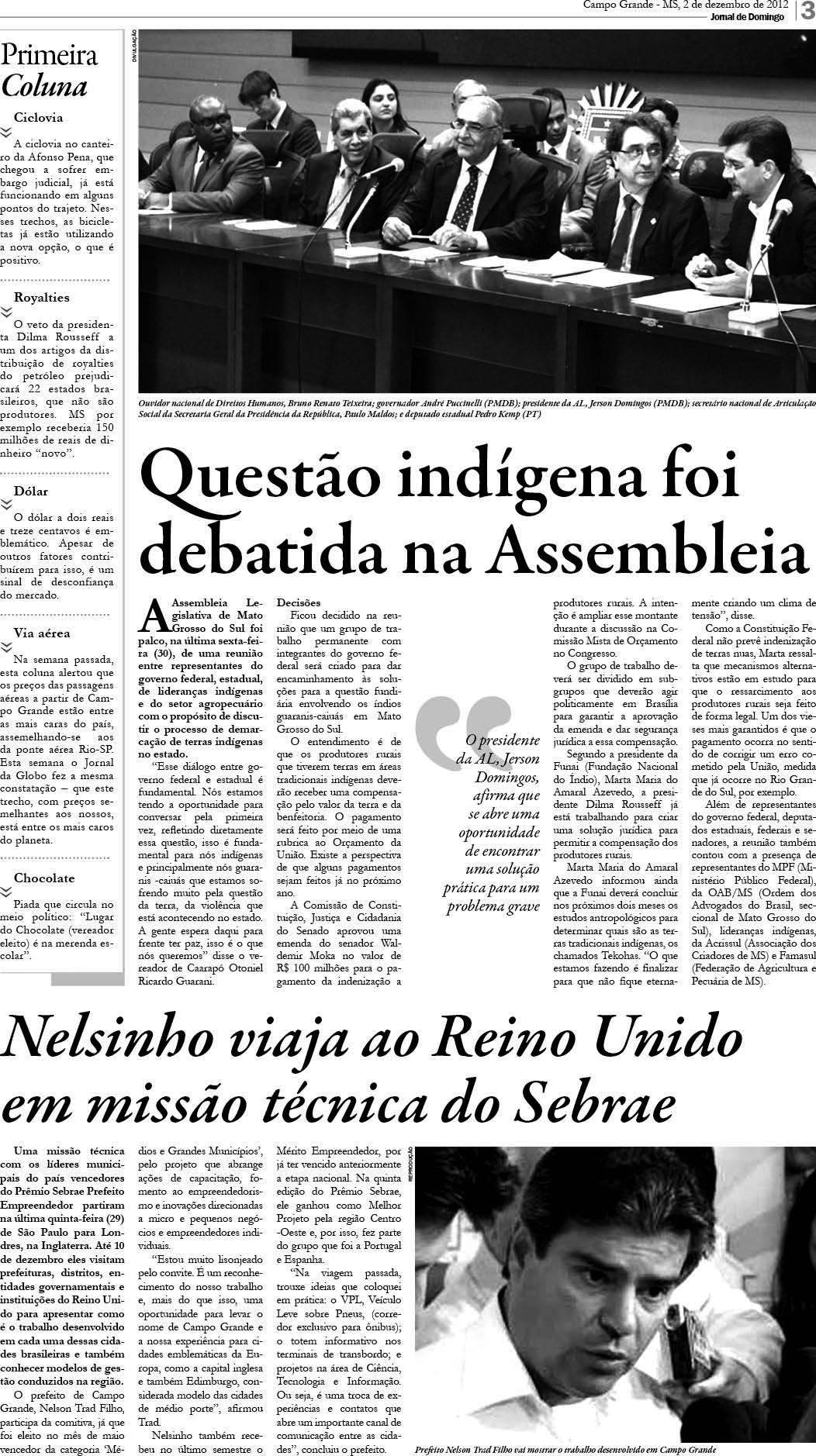 Página 3