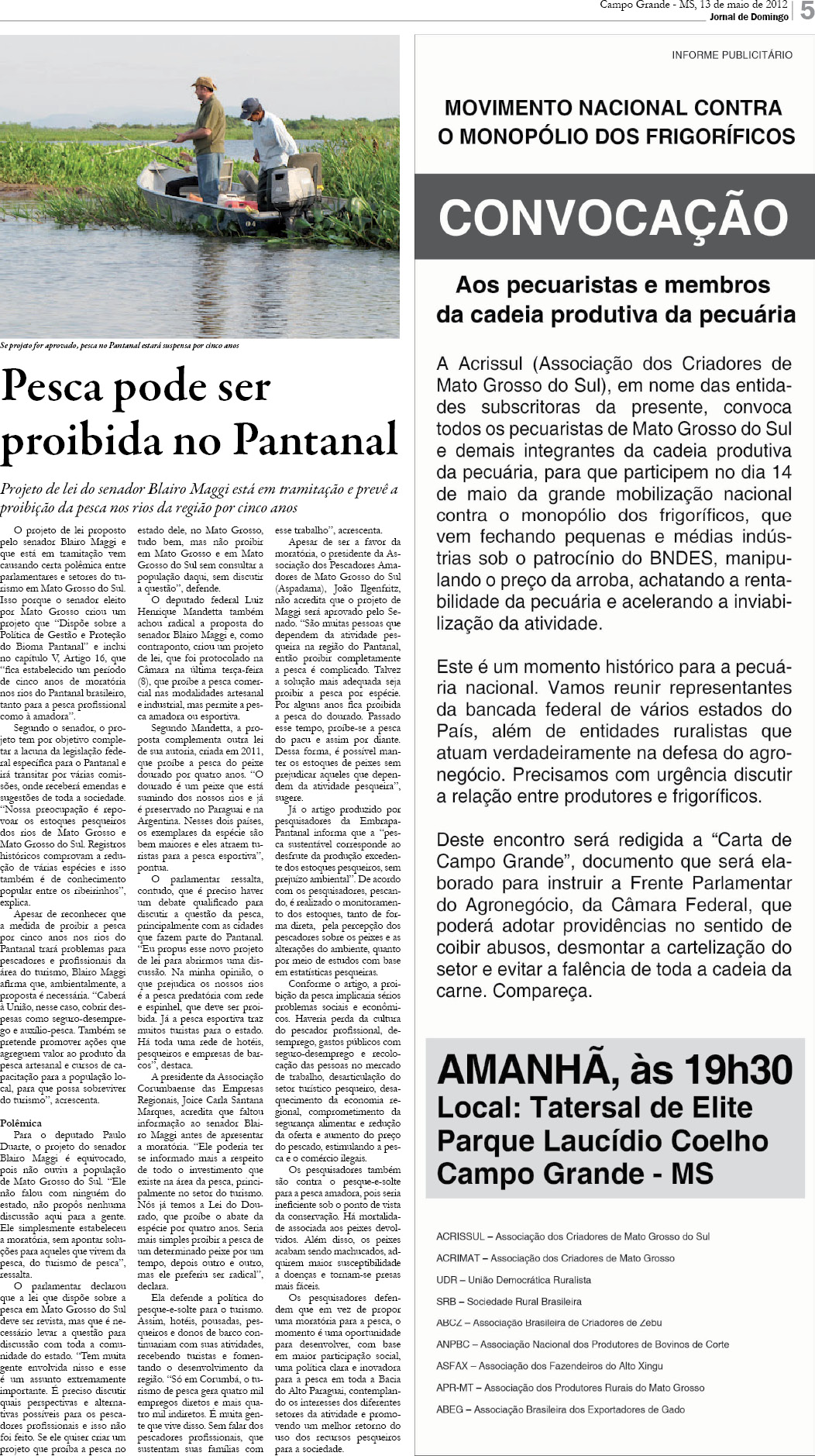 Página 5