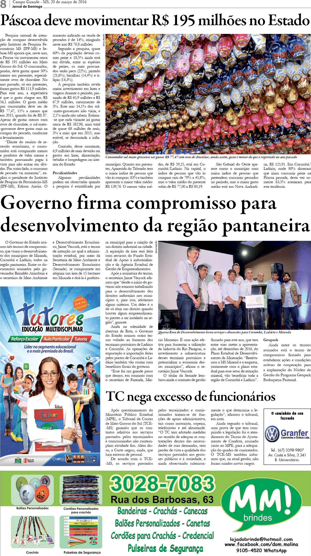 Página 8