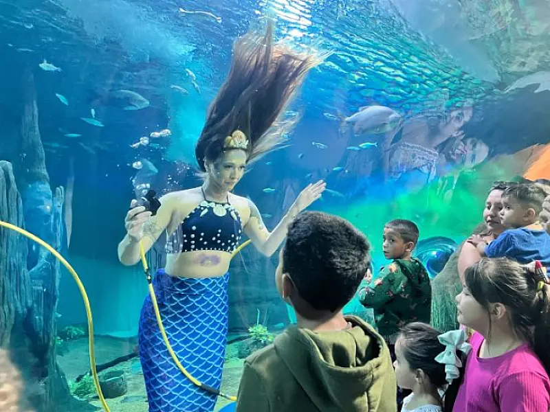 Fim de semana para criançada: tem sereia, teatro e atrações gratuitas na Capital