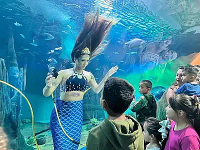Fim de semana para criançada: tem sereia, teatro e atrações gratuitas na Capital