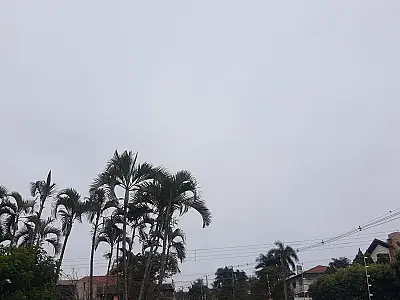 Semana começa com chegada de onda de frio mais intensa do ano em MS