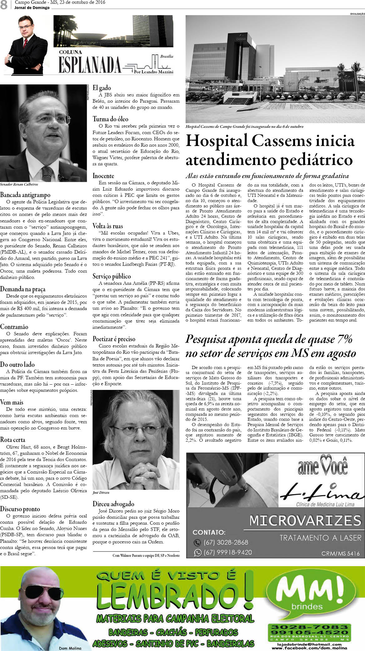 Página 8