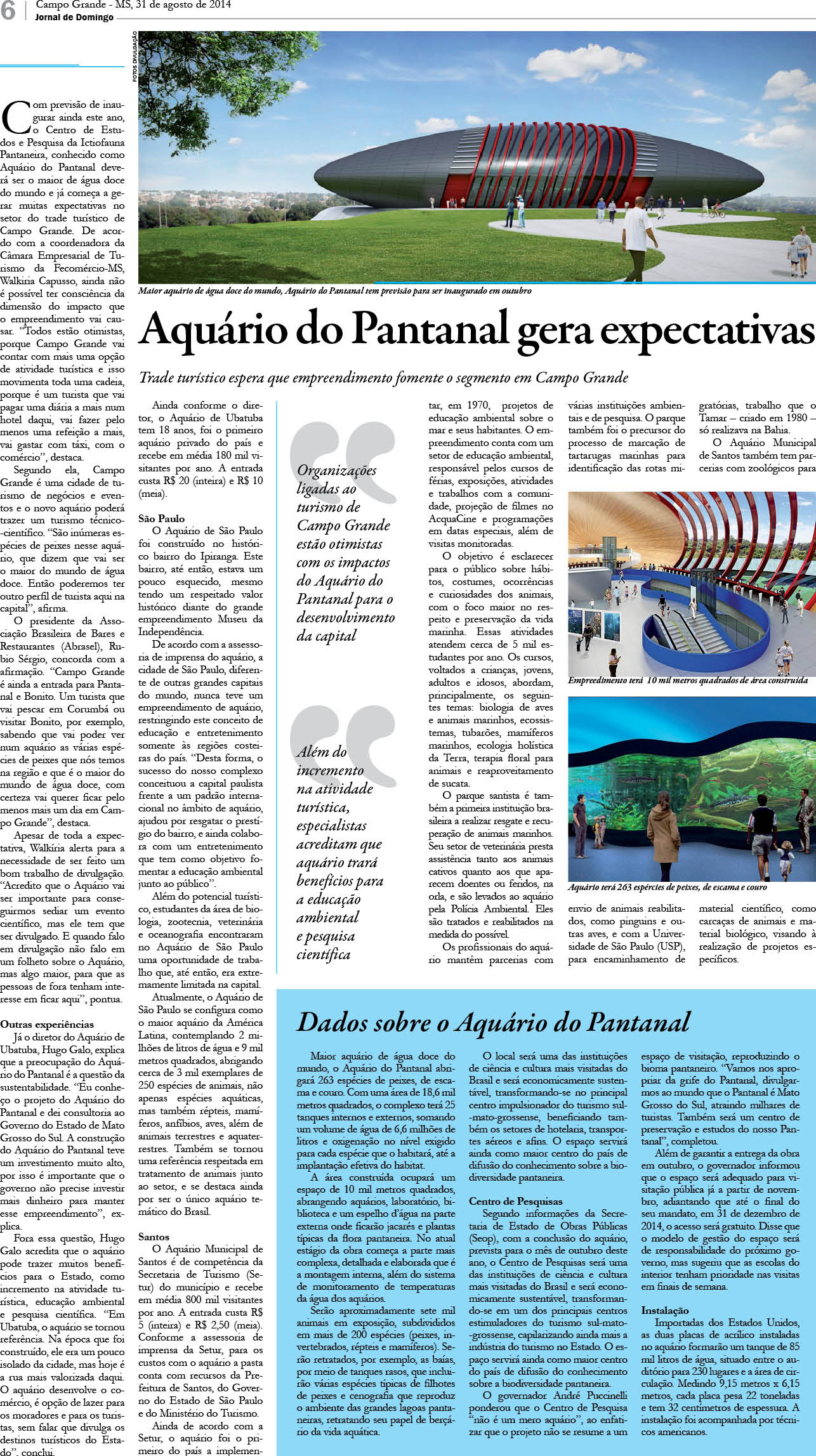 Página 6