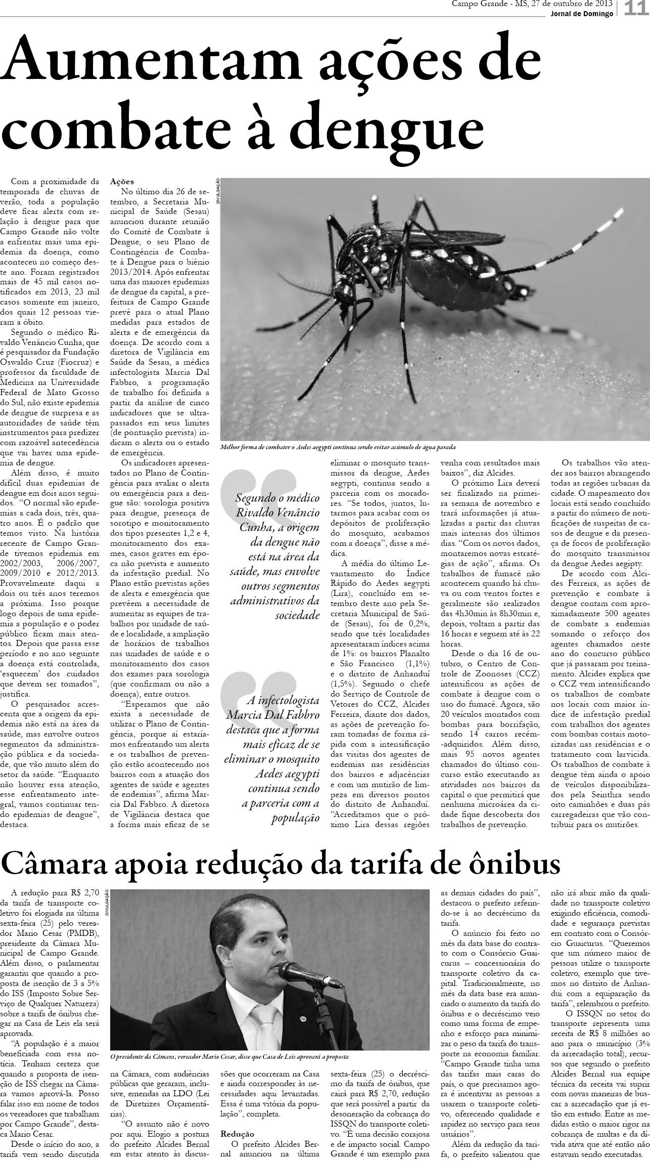 Página 11