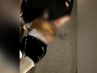 STJ nega soltar homem suspeito de tentar matar mulher atropelada em Água Clara