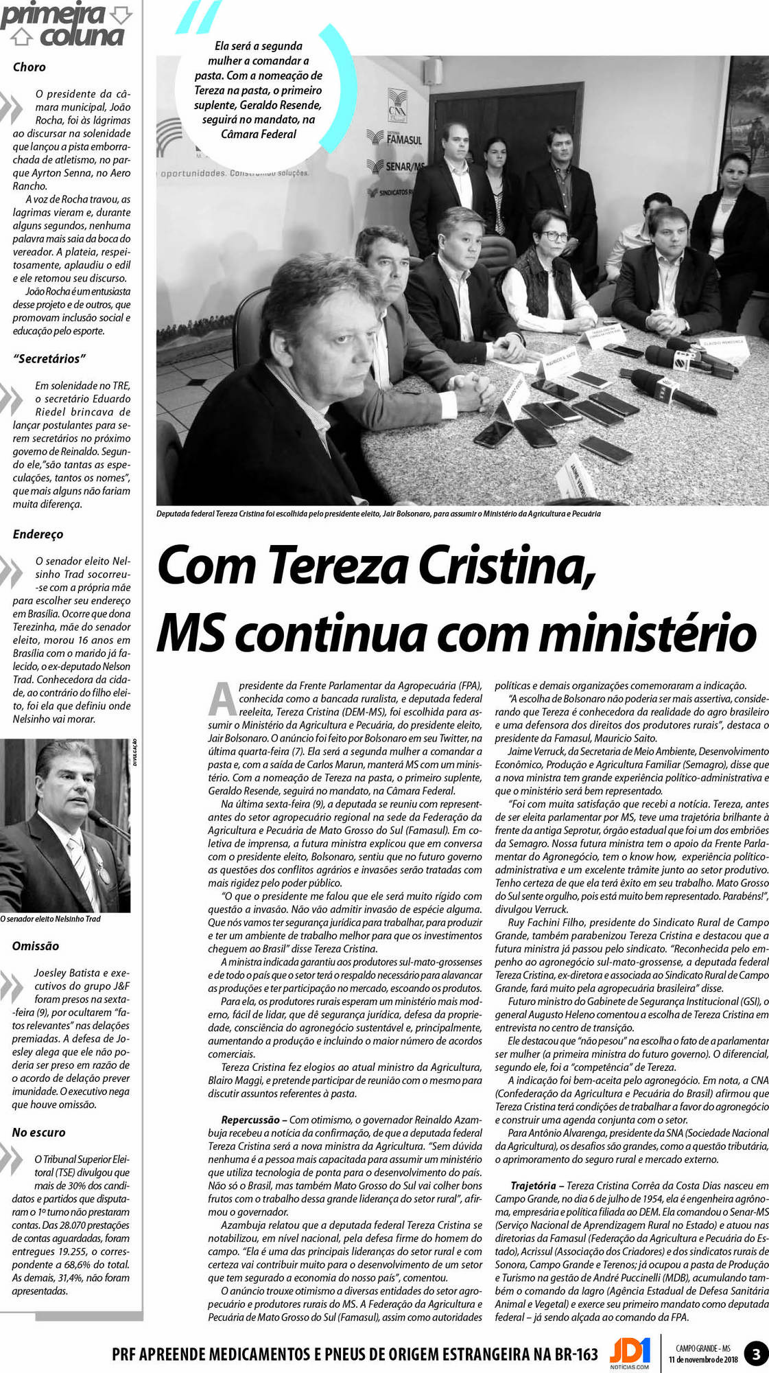 Página 3