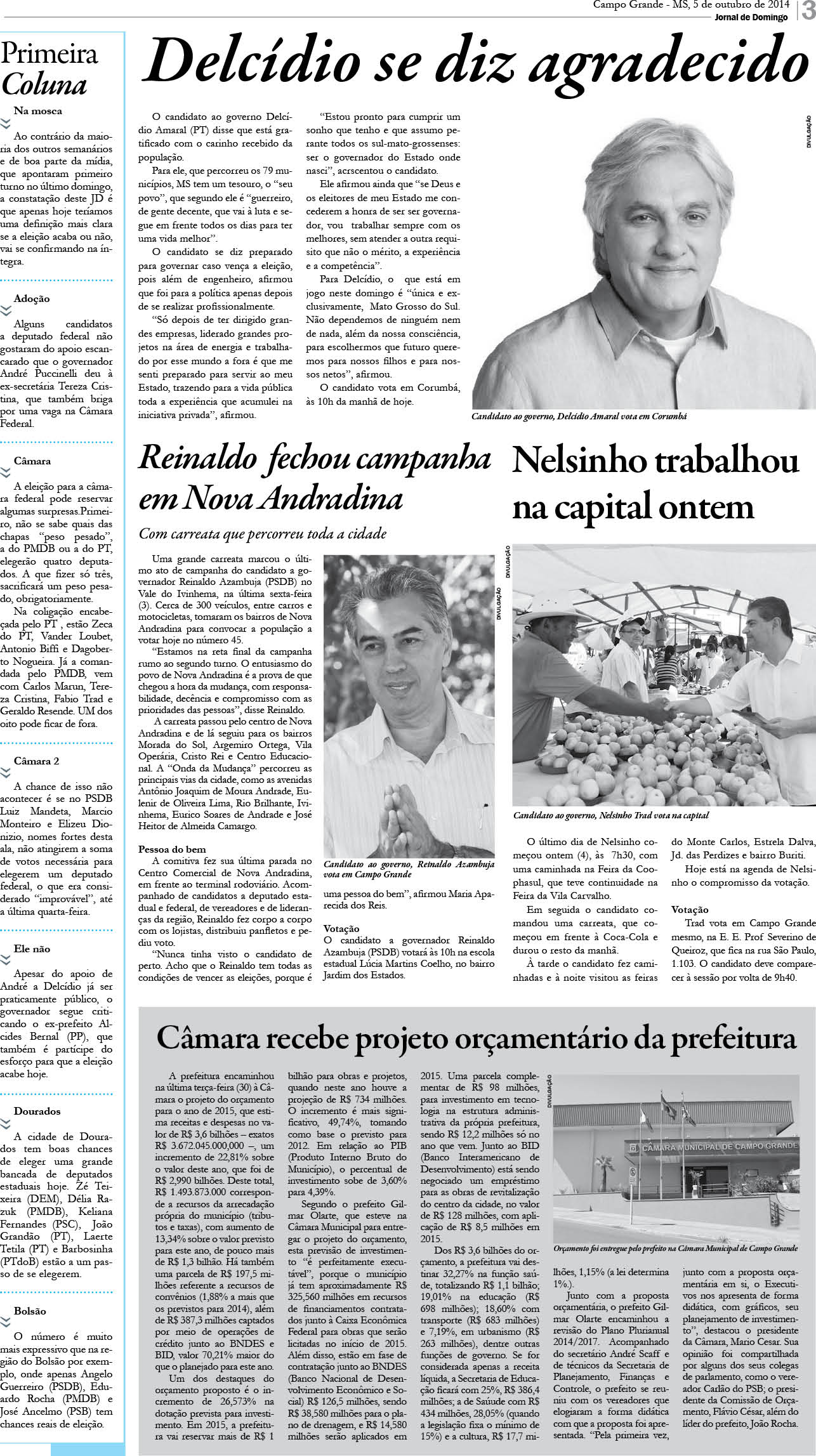 Página 3