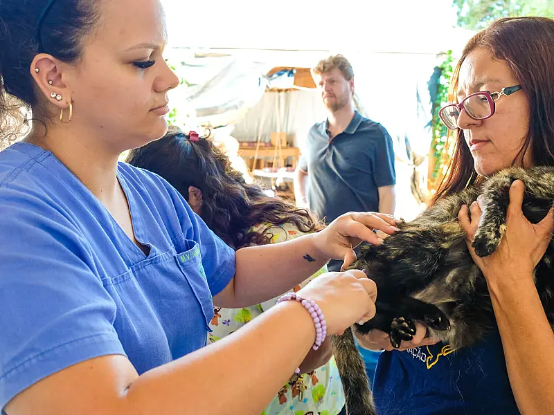 Jardim Noroeste recebe ação com atendimento veterinário gratuito para cães e gatos