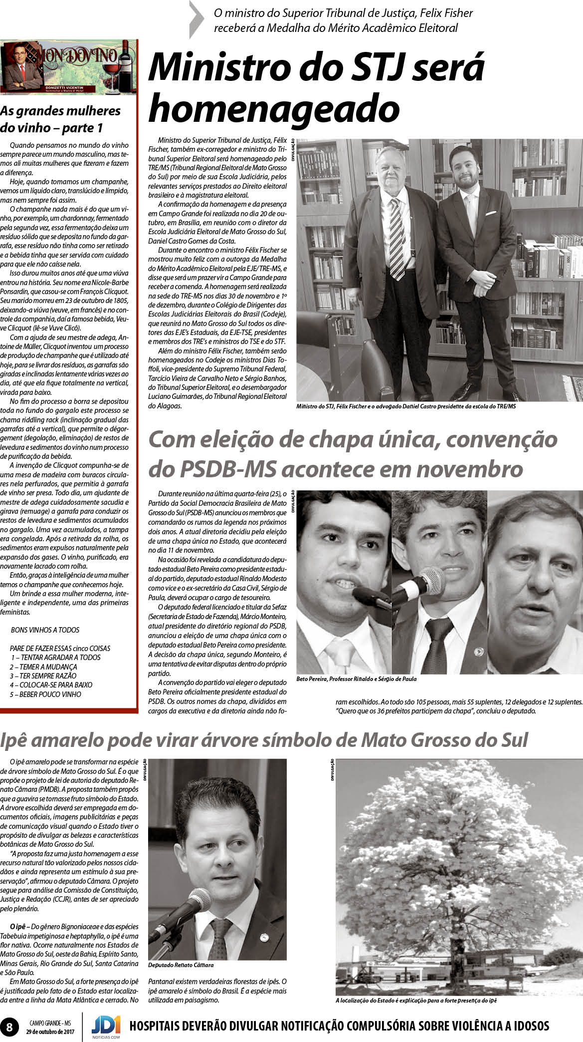 Página 8