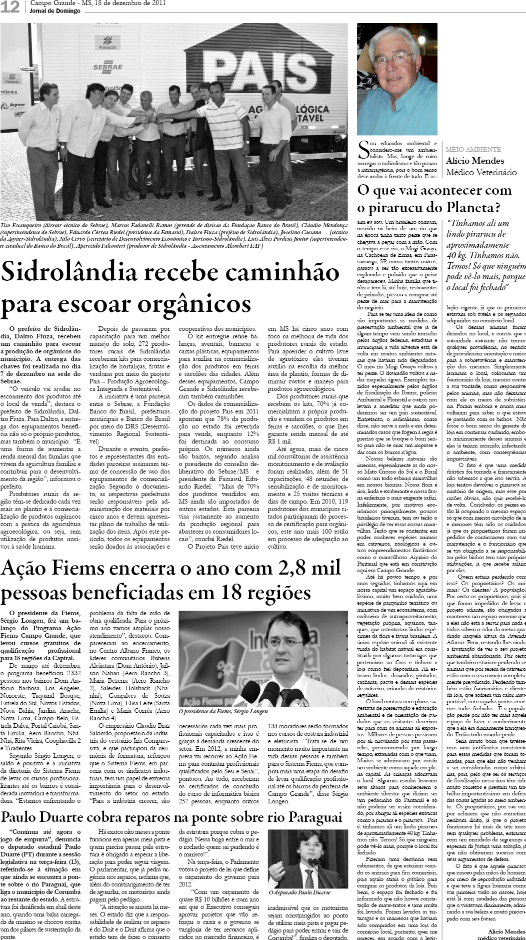 Página 12